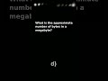 Quizzaro: Megabyte Mystery - Can You Solve It?