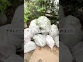 【実家の片付け】庭の片付け第1弾 Before/After