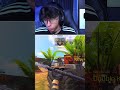 1v3 Clutch against a Streamer! #codm #shorts
