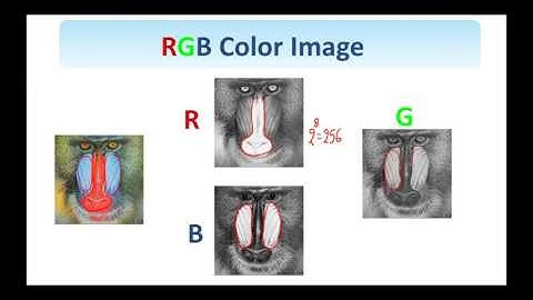 2.  Digital Image Processing:  Image and Video Signals