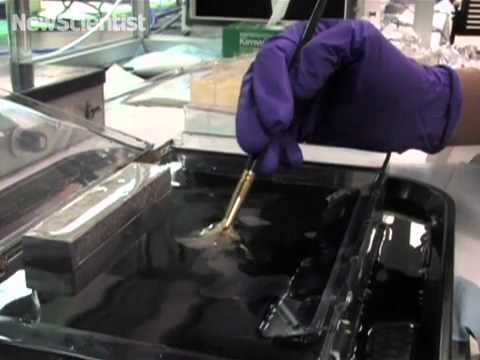 3ds Human brain prosciutto builds up 3D atlas