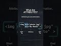 Tags vs Elements vs Attributes Explained Simply (No confusion) #shorts