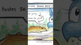 Dragon Facts