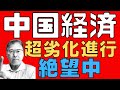 【中国経済!】 習近平の絶望国家! 3D問題の恐怖! 不動産を端緒に崩壊する成長モデル! 【長期衰退!】