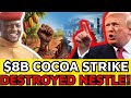 How an $8B African Cocoa Strike Starved Swiss Chocolate Empires? 