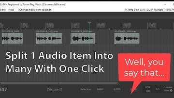 Reaper Tutorial 2021: Split 1 Audio Item Into Many Using The Auto Trim/Split Tool