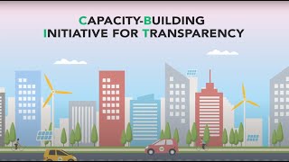 Famous What is the Capacity-building Initiative for Transparency? Profile