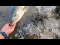 Striper fishing neponset river in boston