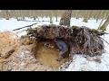Building a Сozy and Warm Shelter Under a Birch Root. Clay oven, Survival, Bushcraft