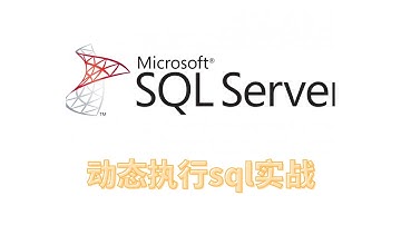 20230827 sqlserver语法高级教程 函数动态执行sql 1503