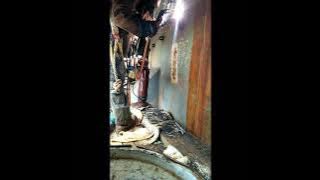 story wa yang penting halal (wali)