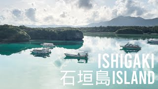 Ishigaki Island, Okinawa VLOG: Taketomi Island, Kabira Bay, Yaima Village Monkeys | Traveling Japan