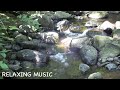 Relaxing Music | Relaxing Music for Sleep | Relaxing Music Piano | Relaxing Music for Stress Relief