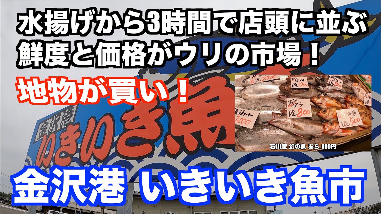 【水揚げから3時間で店頭に並ぶ魚市場 金沢港 いきいき魚市】あばお 海鮮ちゃんねる #70 2023.04.24 鮮度と価格がウリ 地物が買い！