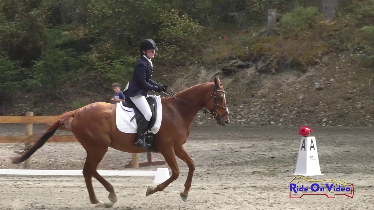 horseshoe bend 090D Ailsa Gilbert on Euphoric Avenue JR Training Championships Dressage Aspen Farms September 2019