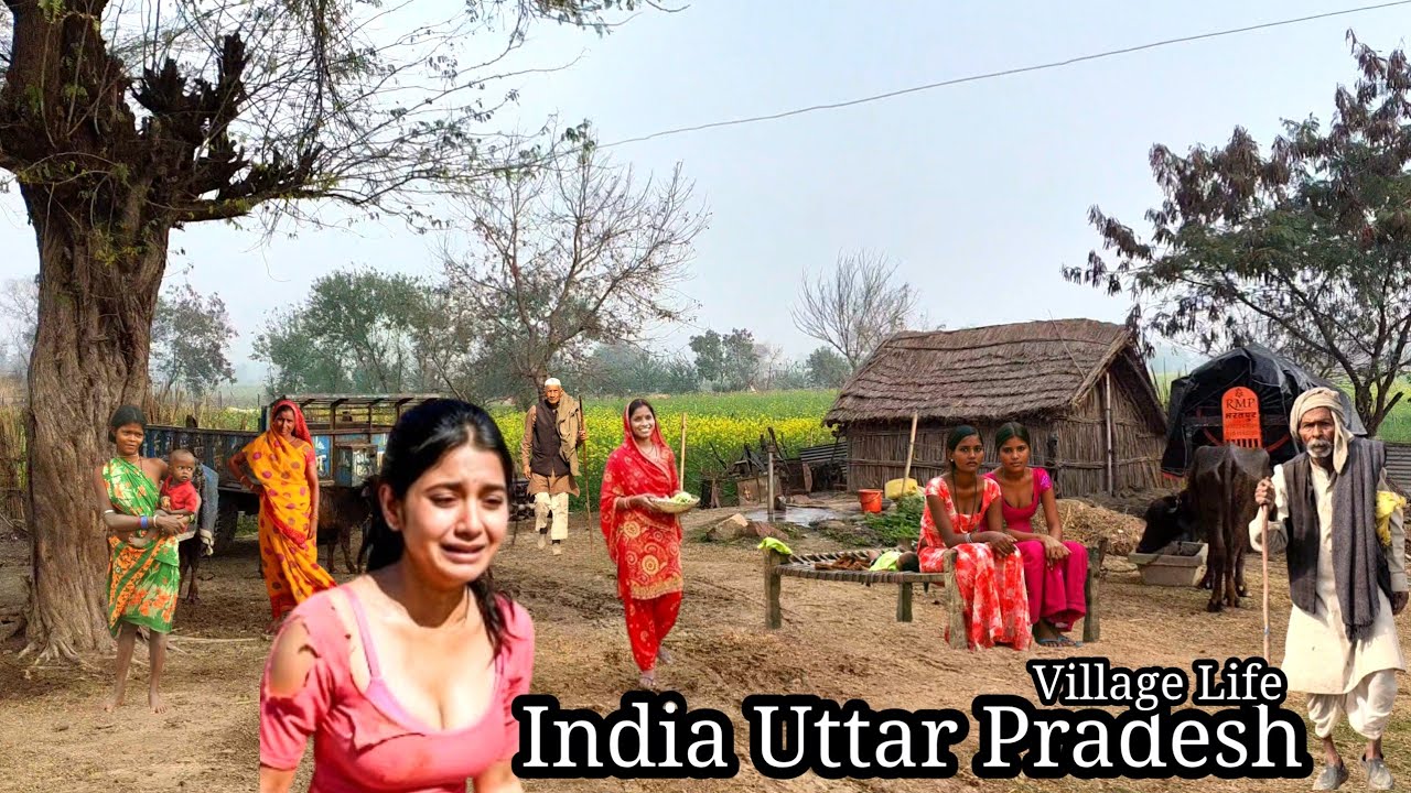 You will not believe after seeing the roads of India and the daily life of the people there 