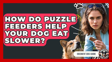 How Do Puzzle Feeders Help Your Dog Eat Slower? - Obedient Dog Guide