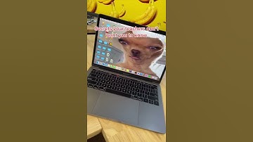 ur grades after tiktok aminshaykho #shorts