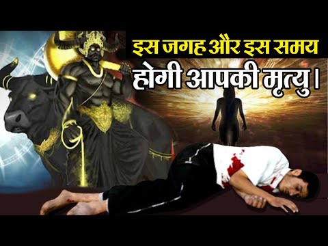 वीडियो: मेरे बिजी लिजी क्यों मर रहे हैं?