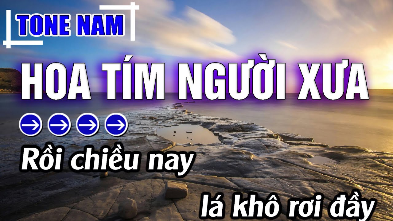 Hoa Tím Người Xưa Karaoke Tone Nam ( Cm ) Beat Hay | Karaoke Đăng Khôi