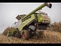 🚜 CLAAS LEXION 780 TT & CONSPEED 8-75 FC : 🌾 MOISSON DE MAÏS