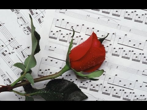 free-youtube-music-free-download-nocopyright-song