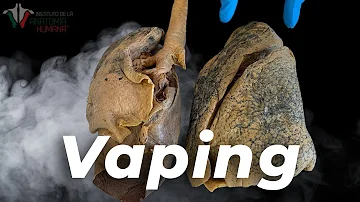 ¿Cómo afecta el vapeo en el sistema respiratorio?