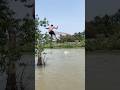 long jump cast net fishing #fishing #villagepond #castnetfishing #reels