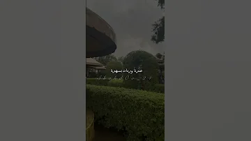 خوفي لو تنسى مرة تصميمي تصويري اليسا 