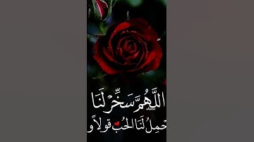 قرآن ما تيسر من سورة يونس❤