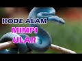 Nomor Ular