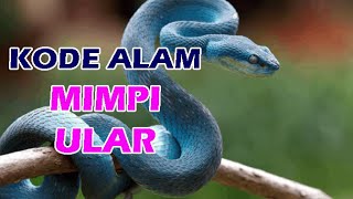 Erek Erek Mimpi Ular Kode Alam 2D ​​3D 4D | Angka Mimpi Ular | Mimpi Ular Togel
