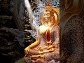 心有光明似燈燭，貢獻賢劫千佛燈，無余廣大十方盡，世尊空行護法眾 #佛法 #佛學 #佛教 #佛說阿彌陀經 #馬來西亞 #馬來西亞佛教 #大乘佛教 #台灣 #香港 #新加坡 #泰國
