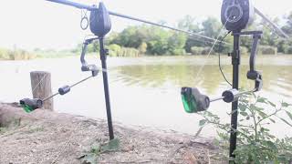 Fishing Adi - How to catch carp (Short version)