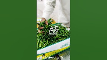 Green chilli Export #abfoodstuffs #business #export #exportchilli #vegetables #dubai  #importexport