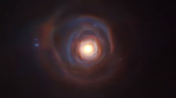 Flying Through Every Galaxy In Our Observable Universe