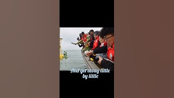 Thumbnail of #bts #song #springday #sewol #ferry #tragedy #sad #army #btsarmy #foryoupage #foryou #fyp #fypシ