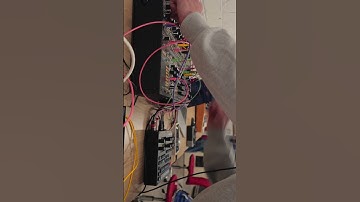 Make Noise Black and Gold shared System #modularsynth  #makenoise #eurorack