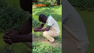 This Zookeepers New Feathered Friend Shakes Things Up With A Headshake That Says It All