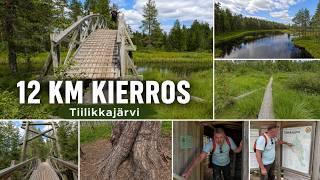 Tiilikkajärven kansallispuisto –12 km lenkki pohjoisesta alkaen esitti monta kysymystä, tule mukaan!