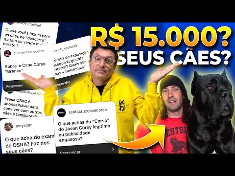 Vídeo: Como introduzir seu cão para um novo bebê