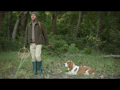 Video: Medību Suns Pilnībā Atgūstas Pēc Koka Iesma Norīšanas