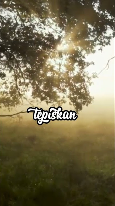 Selaksa Dewangga by Dylantians Band #007 #videolyrics #videolirik #videoshort #sadsong #lovesong