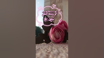 سورة التين #الشيخ #سعد_الغامدي #قران_كريم #quran #متابعة #اكسبلور #لايك