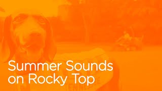 Listen to the Sounds of Rocky Top