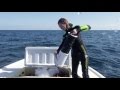 FWC Project: Sustainably Removing Lionfish