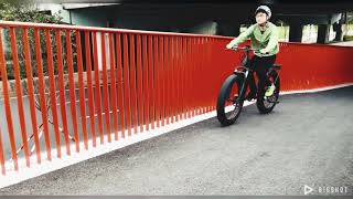 Beite Electric Bike, 48V 750W Bafang Motor
