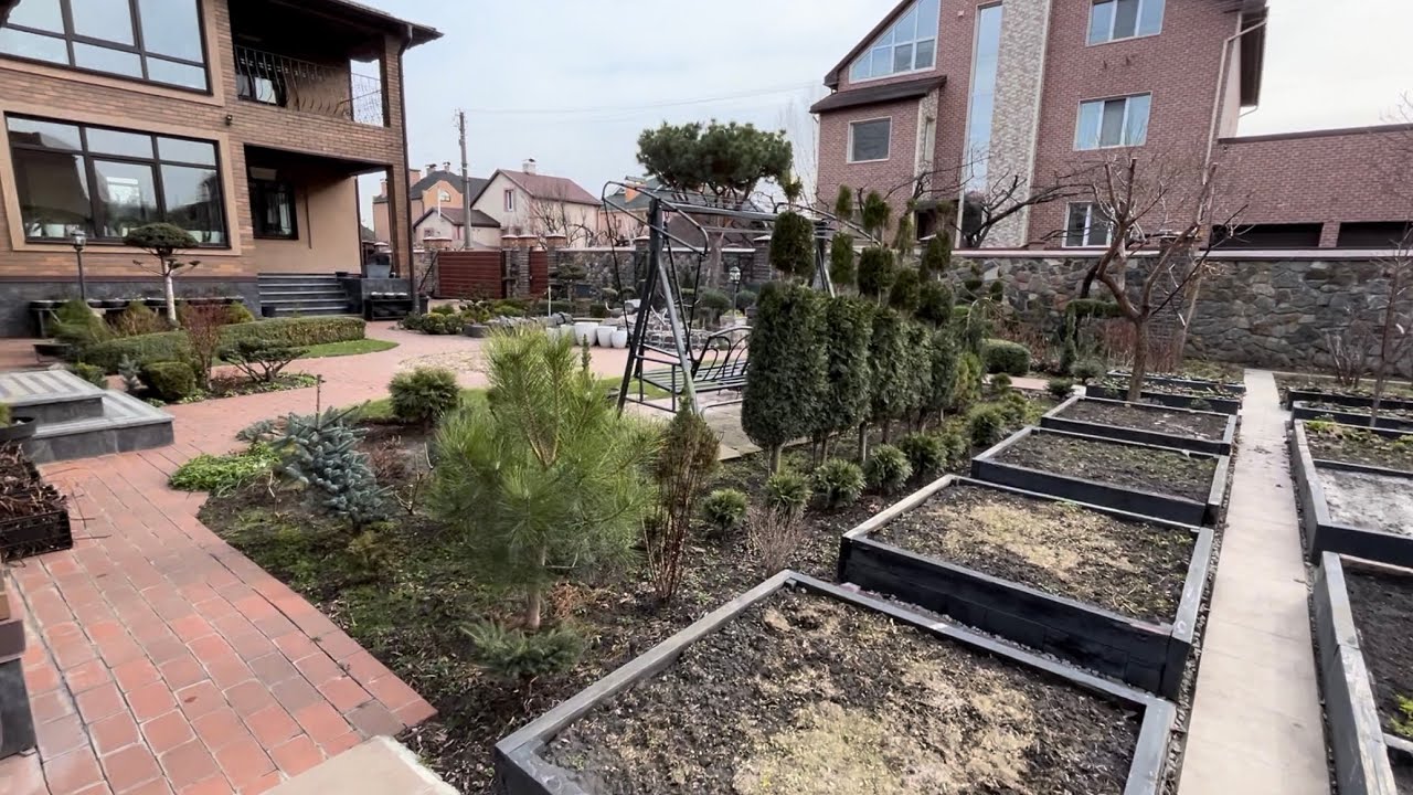 ВЕСНА! ГИППЕАСТРУМЫ ПОСЛЕ ОБРЕЗКИ ЛИСТЬЕВ! ПОСЕВ ГОРОХА В ПОЧВУ ...