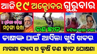 odisha news | 19 October odia news | odisha breaking news | latest odisha news | odisha news updates