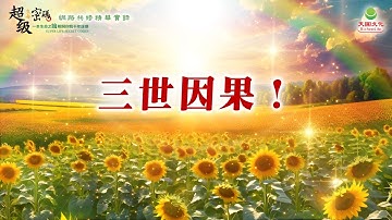 三世因果！
